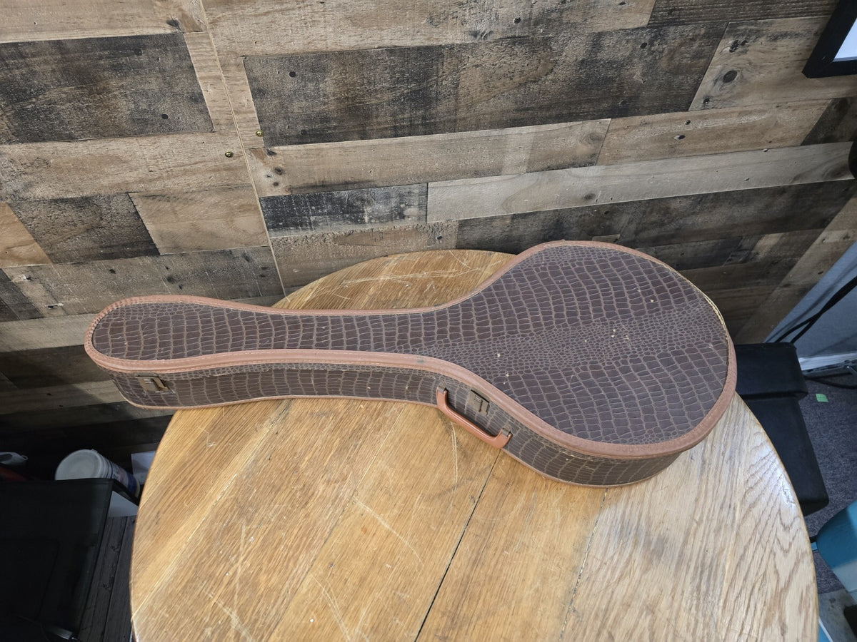 Gibson old chipboard brown Used