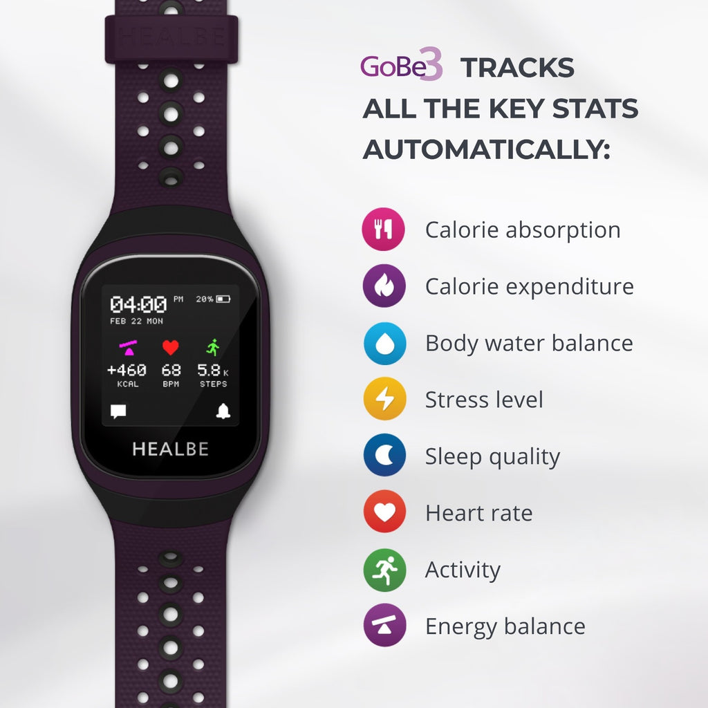 HEALBE GoBe3 New