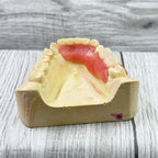 DIY Denture Shop DIY Partial Or Full Denture New