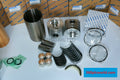 Yanmar 4TNE106 New Industrial Automation Spare Part for Industrial Automation